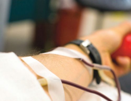 Ministra da Saúde apela para dádivas de sangue