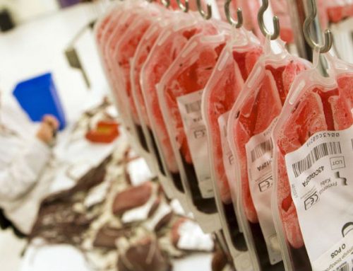 Sindicato denuncia condições de trabalho no Centro de Sangue do Porto e pede intervenção da IGAS