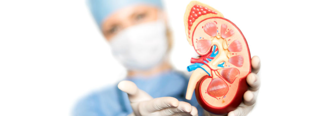 transplante renal cruzado