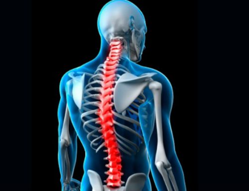  Investigadores da Universidade de Aveiro desenvolvem microagulhas para terapias regenerativas