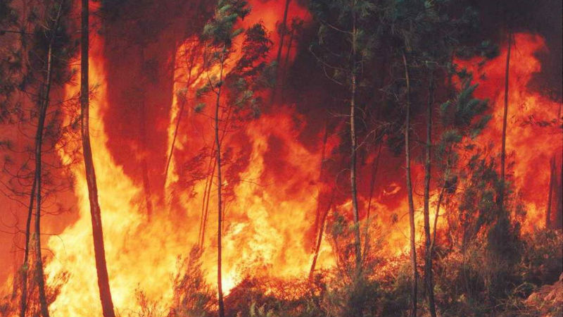 DGS emite recomendações devido ao fumo dos incêndios