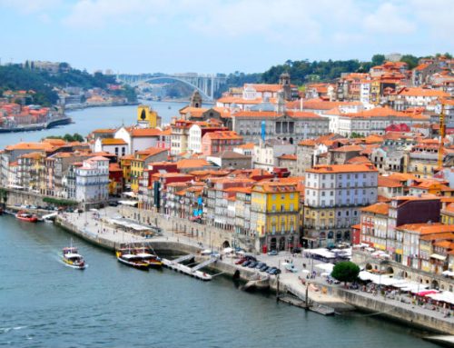 Direção Executiva do SNS terá sede no Porto