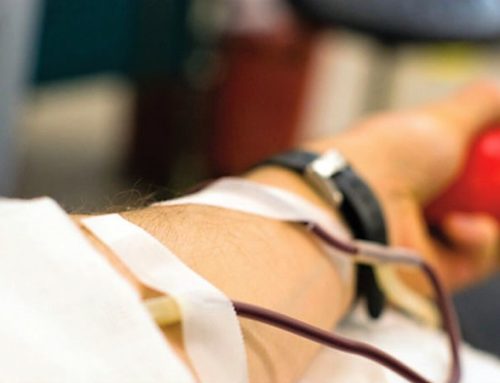 Federação apela à doação de sangue para garantir resposta às necessidades