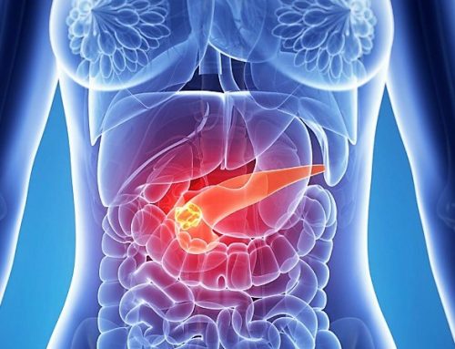  Investigadores do Porto conseguem mapear comunicação do cancro do pâncreas