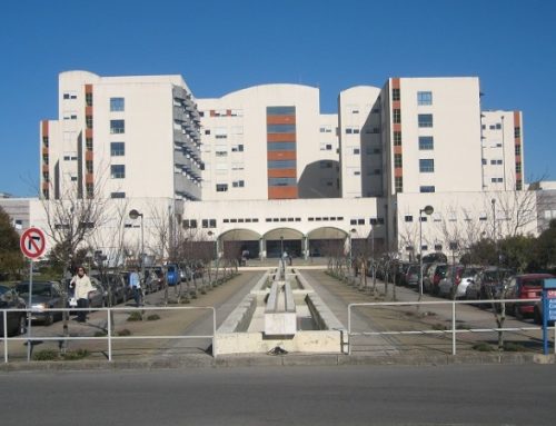 ULS Viseu Dão-Lafões alarga apoio domiciliário de saúde mental a mais três concelhos