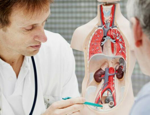 Cirurgia robótica estreia-se na Urologia da ULS Médio Tejo com operação no Hospital de Tomar