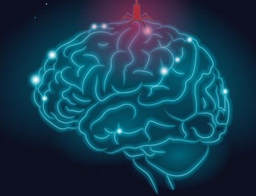  Cientistas criam atlas de células cerebrais que permite desenvolver tratamentos e curas