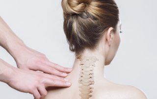 coluna vertebral