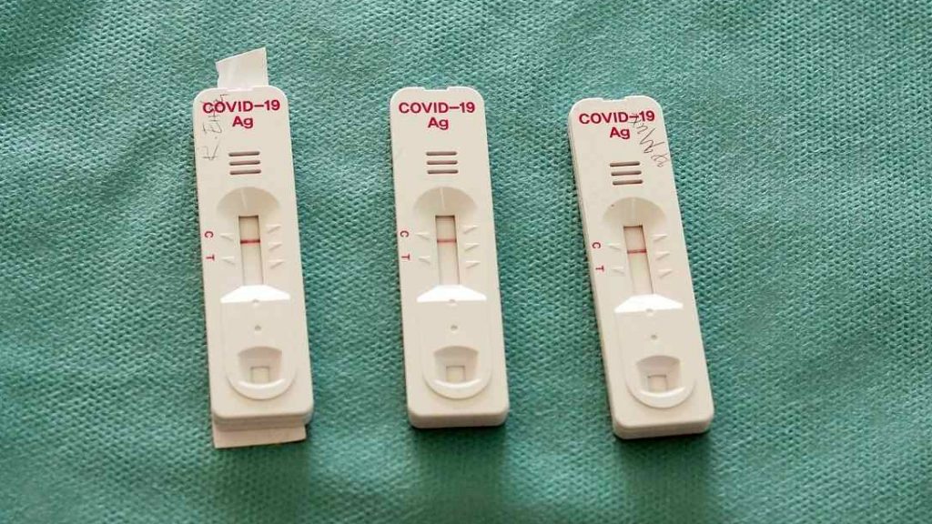 covid testes de antigénio, testes covid