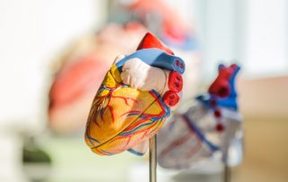 cardiologia