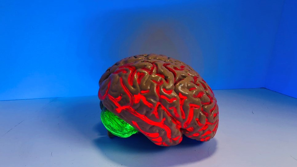 brain <i class="iconlock fa fa-lock fa-1x" aria-hidden="true" style="color:#e82d43;"></i> ScienceDaily | Pessoas com pré-diabetes mais propensas a declínio cognitivo e demência vascular