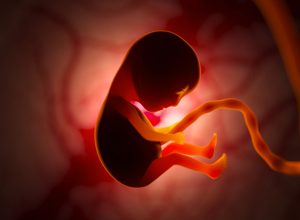 origem do embrião - subnutrição diferenças SARS-CoV-2