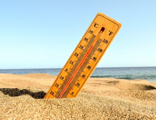 Ondas de calor em Portugal fizeram aumentar internamentos diários em 18,9%, indica estudo