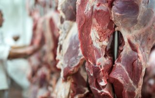 carne vermelha - doenças cardiovasculares