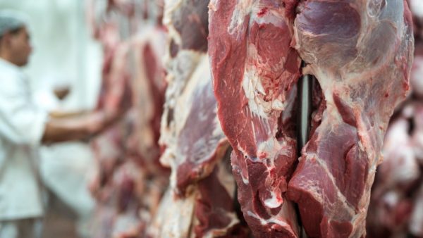 carne vermelha - doenças cardiovasculares