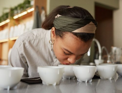  Cientistas criam primeiro mapa do olfato e abrem caminho a novas terapias