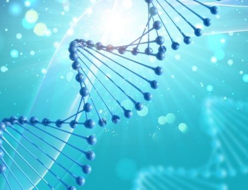  Mecanismo genético permite aos neurónios alterarem identidade face ao ambiente