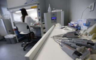 técnicos