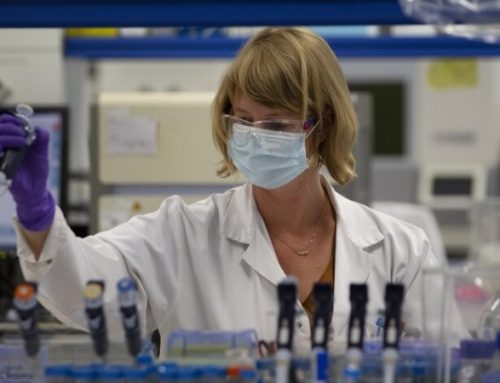  Hantavírus. União Europeia recebe antiviral experimental doado pelo Japão