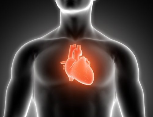  Equipa da FMUP alerta para potencial de biomarcador na prevenção de doença cardiovascular