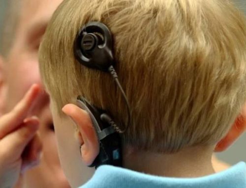  Descoberto novo mecanismo de reorganização cerebral em pessoas com surdez congénita