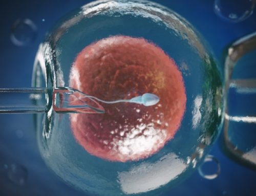  Técnica de ultrassom melhora a mobilidade dos espermatozoides em 266%