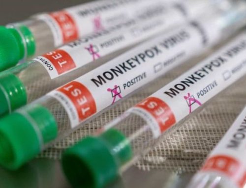 Monkeypox: Estudos estão em curso sobre mutações genéticas