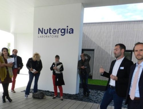 Laboratório Nutergia, especialista em suplementos alimentares, celebra 12 anos em Portugal