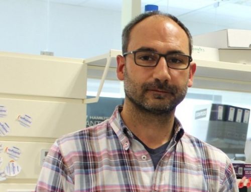  S. aureus: Estudo da Universidade de Coimbra ajudará a melhorar a escolha da antibioterapia