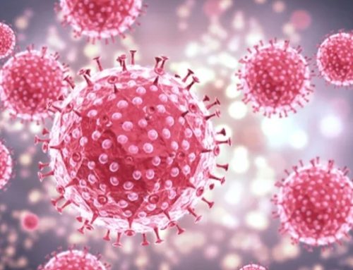  Vacina contra o HPV mostra elevada eficácia após 17 anos de utilização