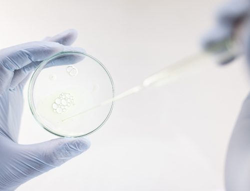  Conselho de Ética recomenda criopreservação de embriões sobrantes
