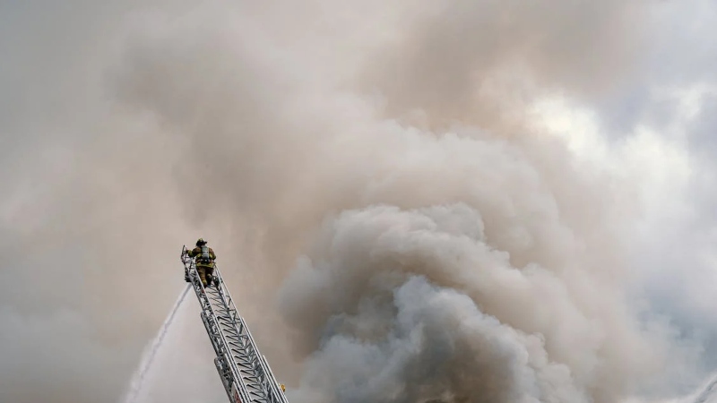 Incêndios: Sociedade de Pneumologia divulga medidas de proteção para doentes crónicos