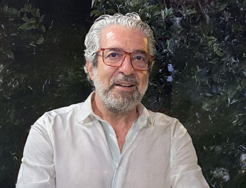 “Este modelo permite que o médico defina de forma personalizada o seu caminho formativo”