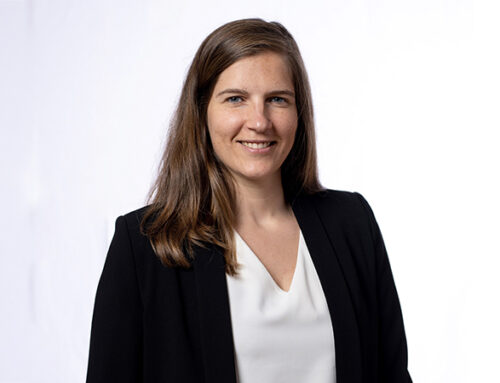  Cuidados Integrados ao Idoso Frágil nos Cuidados de Saúde Primários