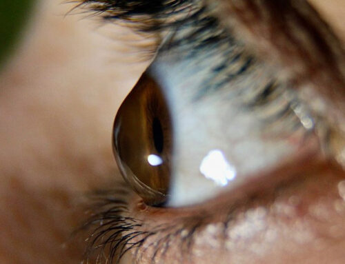  Glaucoma pode estar ligado ao sistema imunitário do olho