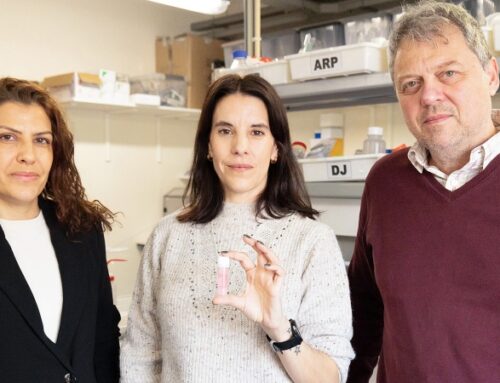  Universidade de Aveiro cria biomaterial com potencial para medicina regenerativa e engenharia de tecidos