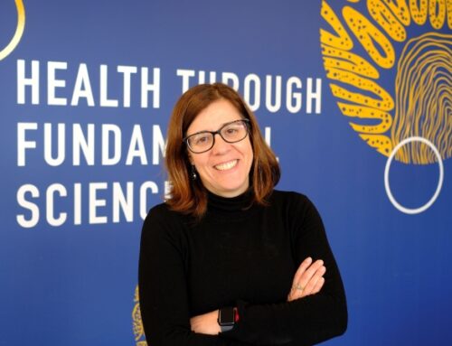  Investigadora da Universidade Católica conquista bolsa europeia para desenvolver nova geração de antivirais contra a gripe