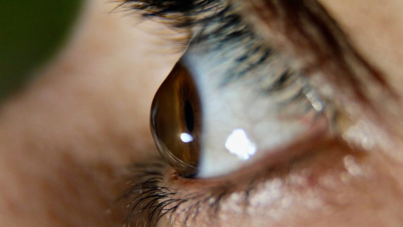 Santa Maria reforça imagiologia da retina com novo retinógrafo de campo largo